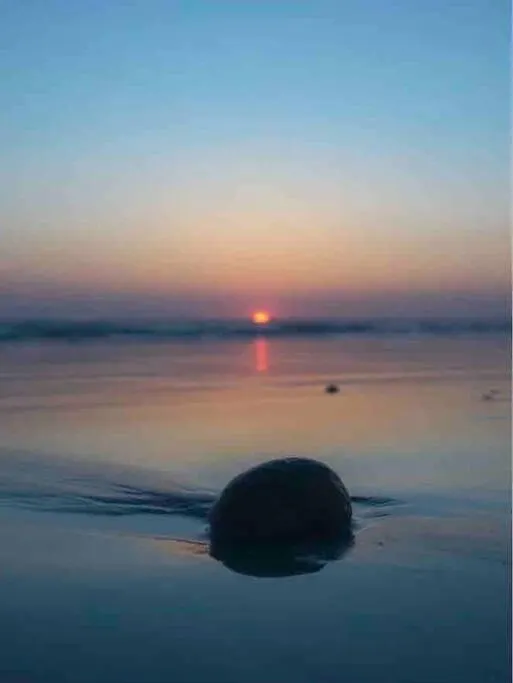 Cap Coz Plage Fouesnant 0*,